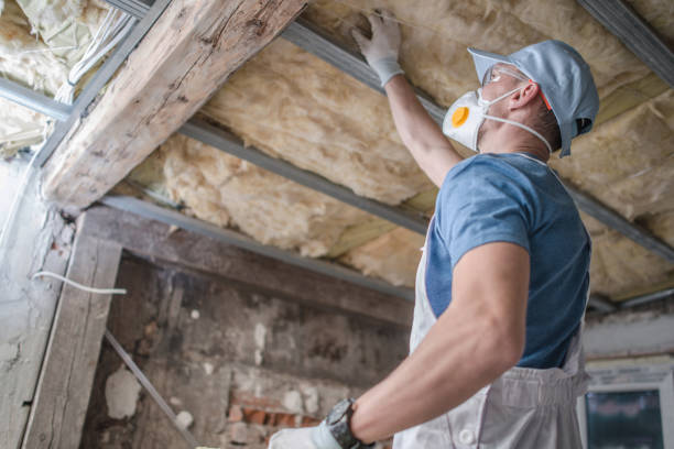 Best Types of Insulation in Clanton, AL