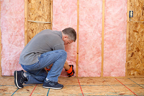 Best Insulation Installation Services in Clanton, AL