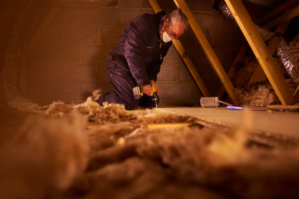 Best Types of Insulation in Clanton, AL